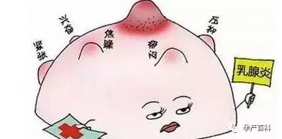 哺乳期乳腺炎，慎用抗生素！