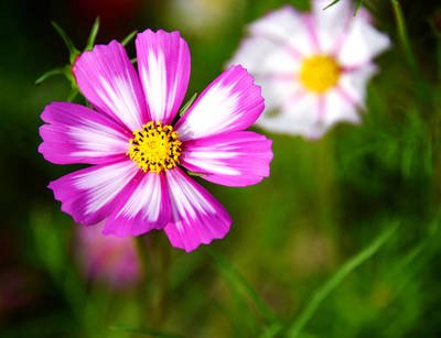 你是雇主喜歡這樣的阿姨嗎？