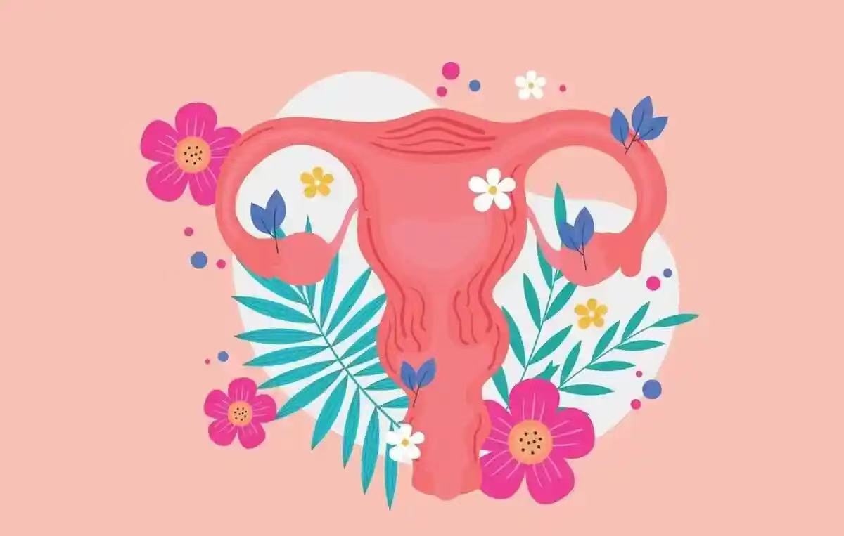 孕媽小知識(shí)|怎樣保護(hù)子宮健康？