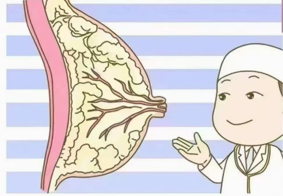 6步疏通奶結(jié)，告別乳房脹痛，月嫂必學(xué)！